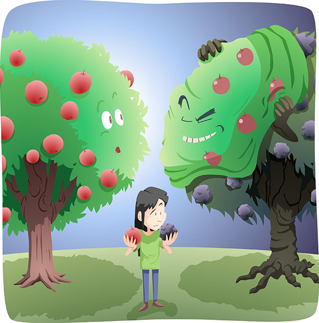 Good tree bears good fruit