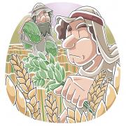 Parable of the Wheat and Tares